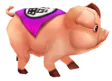 Purple Pig